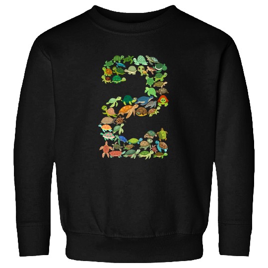 2nd birthday sea turtle tortoise theme 2 year old Sweatshirts