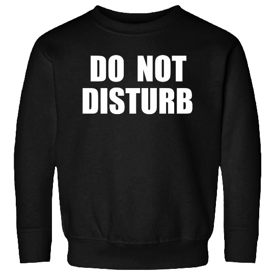 Do Not Disturb - Airplane Airport Train Subway Sweatshirts