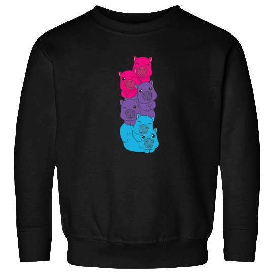 Androgynous Flag Pride Lgbtq Cute Capybara Sweatshirts