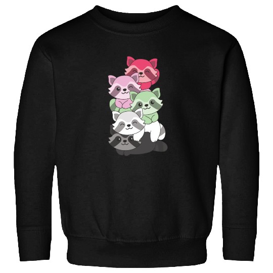 Recipromantic Flag Pride Lgbtq Cute Raccoon Sweatshirts