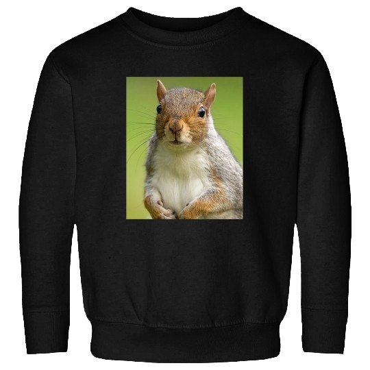 Squirrel Photo Chipmunk Animal Lover Wildlife Pun Sweatshirts