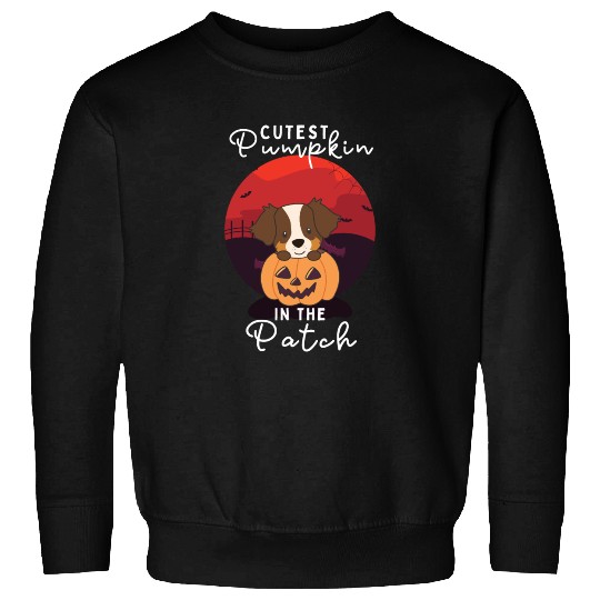 Australian Shepherd cutest pumpkin in the patch Sweatshirts