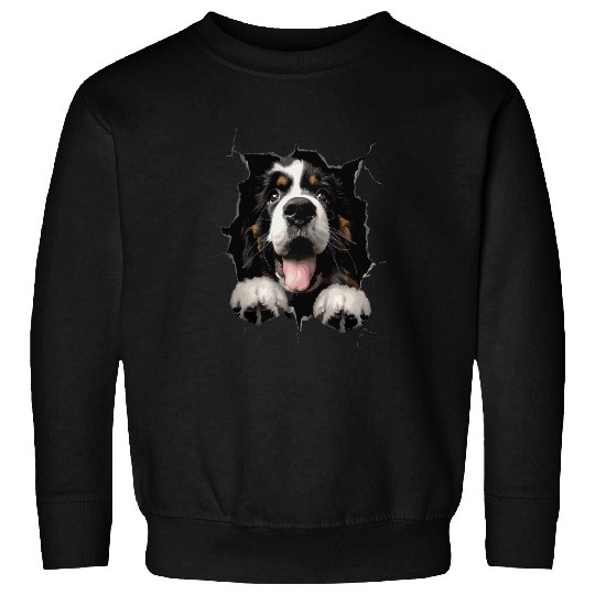 Saint Bernard Sweatshirts