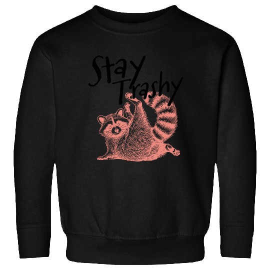 Stay Trashy Raccoon – Funny Meme Sweatshirts