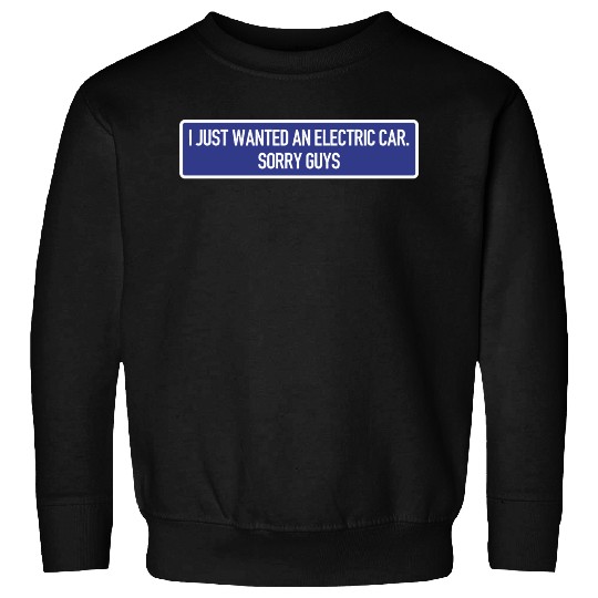 I just wanted an electric car - Anti Elon Musk no Sweatshirts