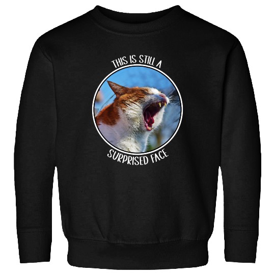 This is Still A Surprised Face Funny Cute Cat Meme Sweatshirts