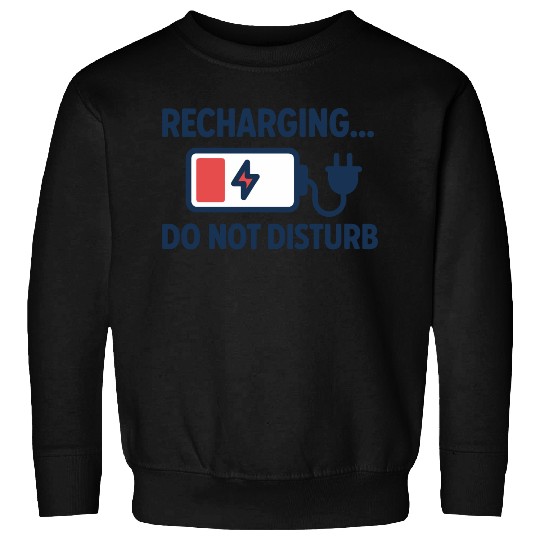 Recharging Do Not Disturb - Introvert	 Sweatshirts