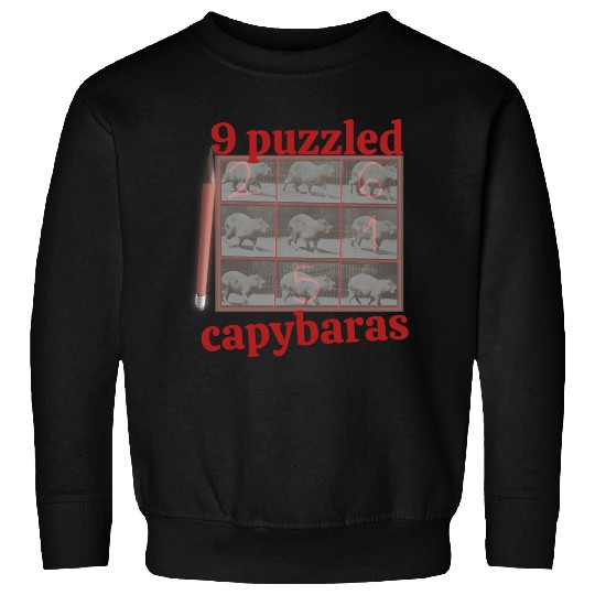 Capybara Sudoku – Funny 9×9 Number Puzzle Gift Sweatshirts