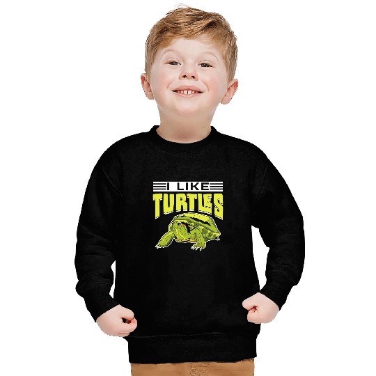 KV9 Turtle I Like Turtles Pet Animal Lover Turtle Sweatshirts