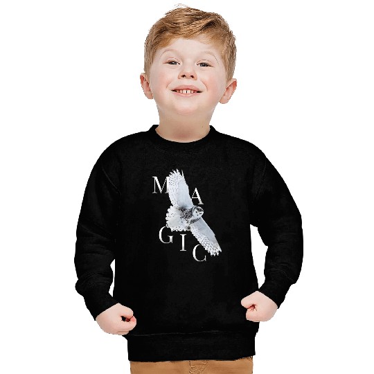 Cute Owl Magical Owl Birds Barn Owl Library 3 Sweatshirts