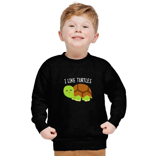 Turtle Pet I like turtles turtle 1 Sweatshirts