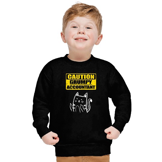 Working Caution Grumpy Accountant Colleague Sarcastic Cat Sweatshirts