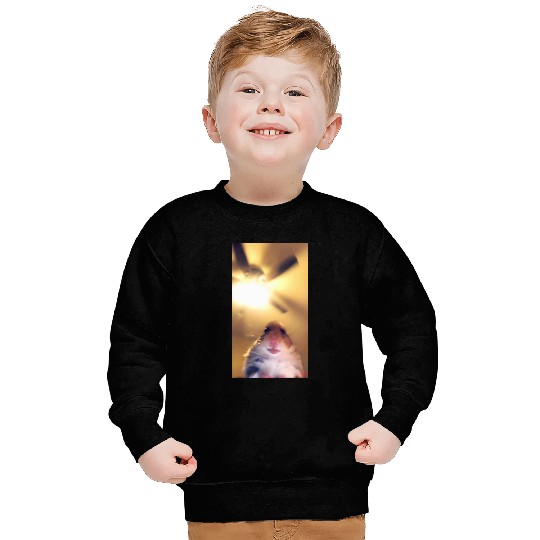 Hamster Meme Camera Hamster Funny Webcam Sweatshirts