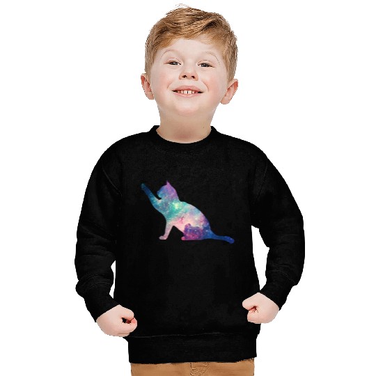 galaxy cat for cats lovers Sweatshirts