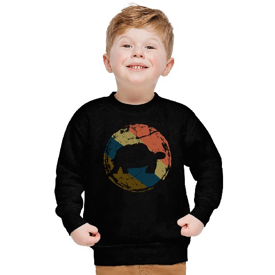 Turtle Lover Gift Tortoise Vintage Sea Turtle Sweatshirts