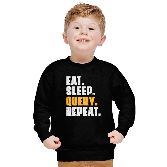 Eat Sleep Query Repeat Computer Coding Database Sweatshirts
