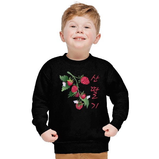 Korean Raspberry Sweatshirts