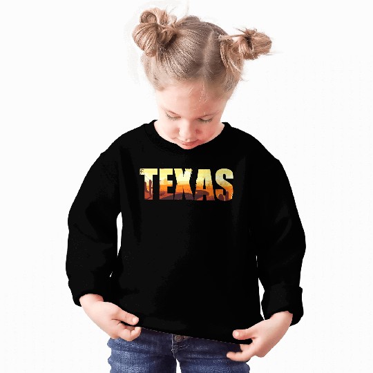 Texas city USA gift Houston America Sweatshirts