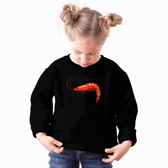 I Used To Have Money Now I Have Shrimp Sweatshirts