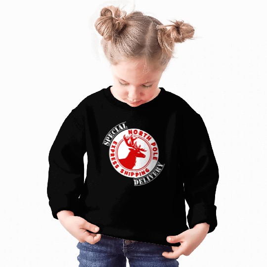 NORTH POLE SPECIAL DELIVERY Sweatshirts