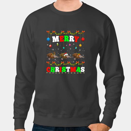 Platypus Gift Funny Animals Lights Merry Christmas Santa Sweatshirts