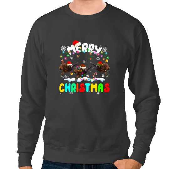 Platypus Gift Merry Christmas Platypuses Lover Santa Hat xmass Lights Pajama Sweatshirts