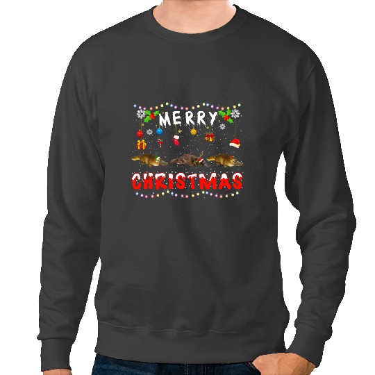 Platypus Gift Merry Christmas Platypuses xmass Funny Animals Pajama Sweatshirts