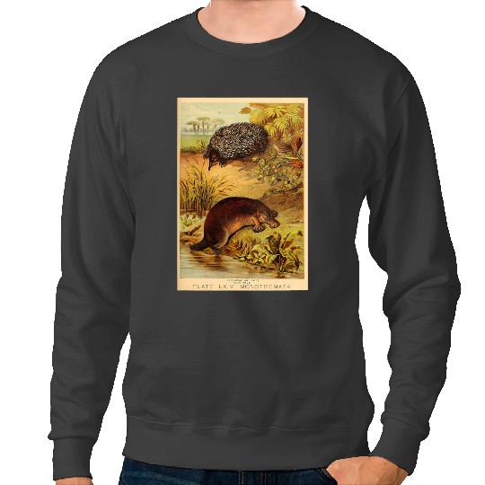 Platypus Gift Monotremes Platypuses Echidna vintages Animal Lithograph Sweatshirts