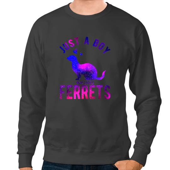 Ferret Gift Just A Boy Who Loves Ferrets Ferret Lover Funny Ferret Sweatshirts