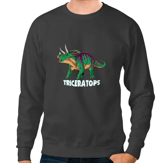 Dinosaur Dino Triceratops Dinosaur Design Sweatshirts