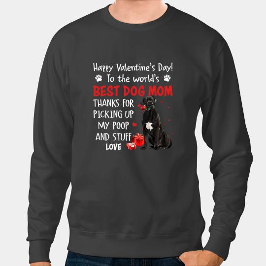 Cane Corso bests Dog Mom Valentines Day Funny Puppy Dogs Sweatshirts