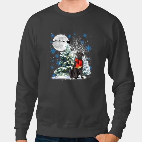 Cane Corso Under Moonlight Snow Christmas Pajama 136 Sweatshirts