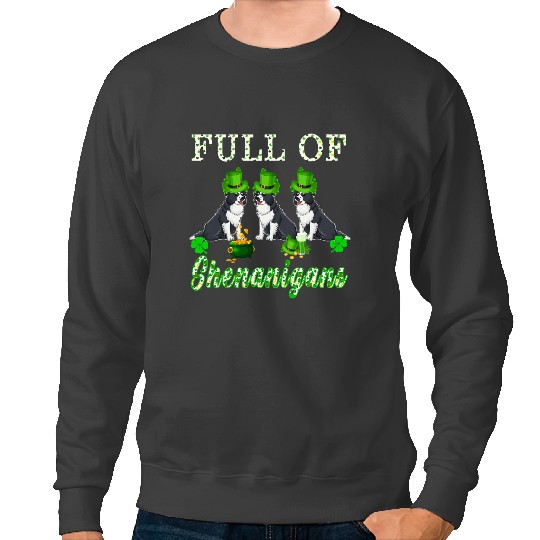 Dog Border Collie Full Of Shenanigans Three St.Patricks Border Collies Lover Sweatshirts