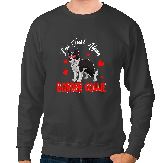 Dog Border Collie antis Valentines Alone Border Collie For Single Women Men Sweatshirts