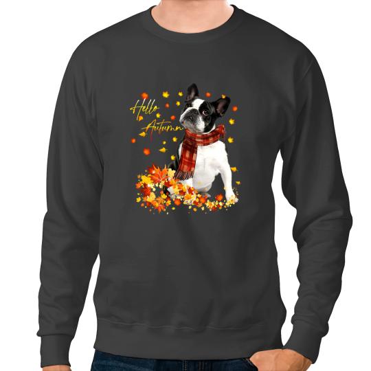 Dog Boston Terrier Leaf Fall Hello Autumn For Dog Lover Sweatshirts
