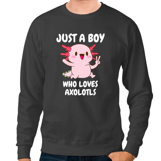 Axolotls Animals Just A Boy Who Loves Axolotlss Walking Fish Men BoysAxo Sweatshirts