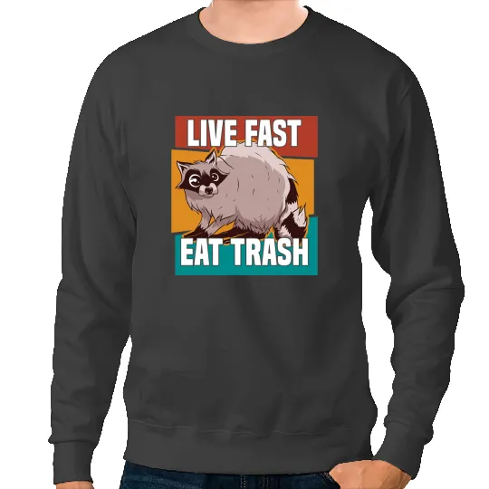 Cats Live Fast Eat Trash Raccoon GIft Raccon Street Cat Lover Sweatshirts
