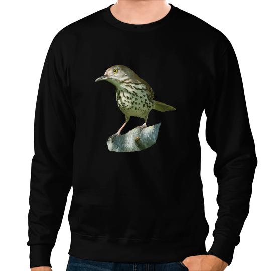 Brown Thrasher Graphic Cute Gift Bird Lover Birding Sweatshirts