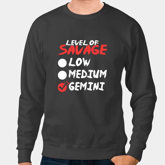 Funny Birthday May June Horoscope I Level of Savage Gemini Sweatshirts