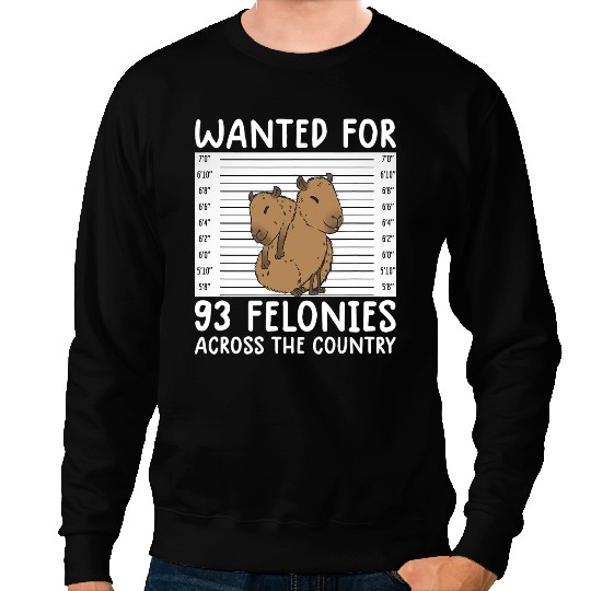 capybaras Lover wanted for 93 felonies funny capybaras tee rodent quote 2 Sweatshirts