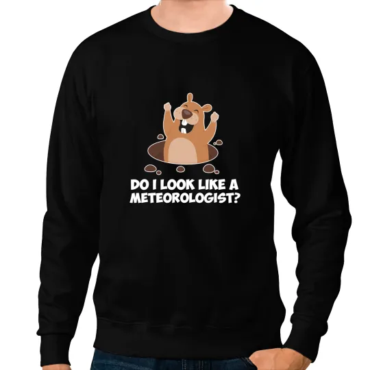 Do I Look Like A Meteorologist Funny Groundhog Day Funny Sweatshirts
