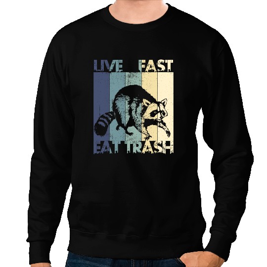 Camping Camp Live Fast Eat Trash Funny Raccoon Camping vintages Camper Sweatshirts
