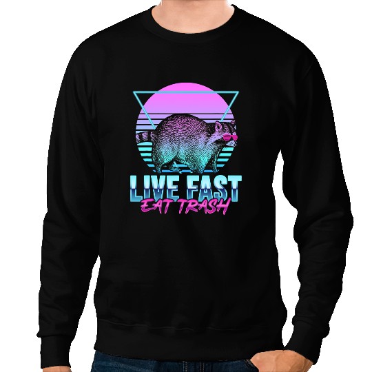 Camping Camp Live Fast Eat Trash Funny Raccoon Camping Retro Camper Sweatshirts