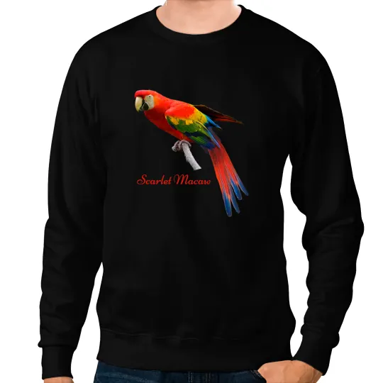 Scarlet Macaw Ornithology Bird Sweatshirts