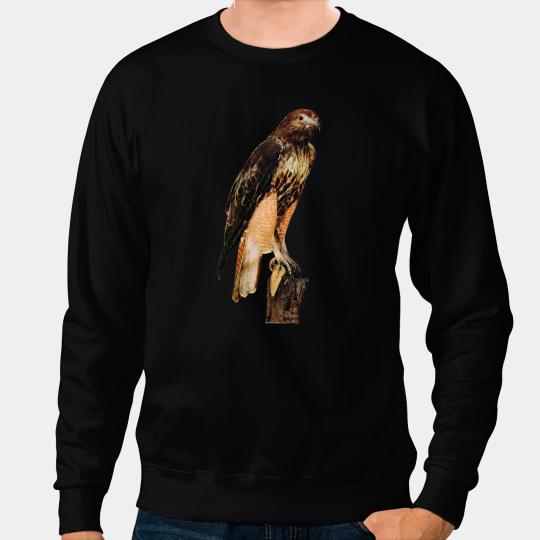 Red Tailed Hawk bests RedTailed Hawk Birder Gift Tee Sweatshirts