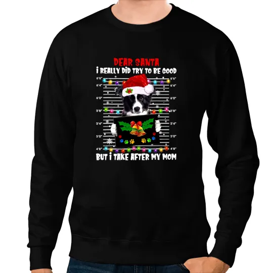 Dog Border Collie Dear Santa I Really Did Try To Be Good But I317 Sweatshirts