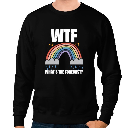 WTF Whats The Forecast Weatherman Meteorologist For Man 14 Sweatshirts