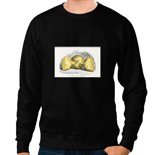 vintages Portrait of Lemon Fruit Produce Plant Citrus Sweatshirts