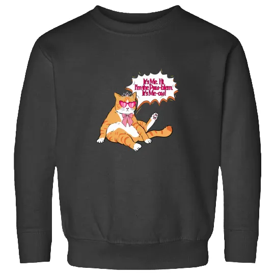 Anti-Hero Cat Taylorr Swift Sweatshirts
