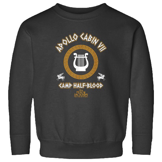 Disneyss Percy Jackson And The Olympians Sweatshirts